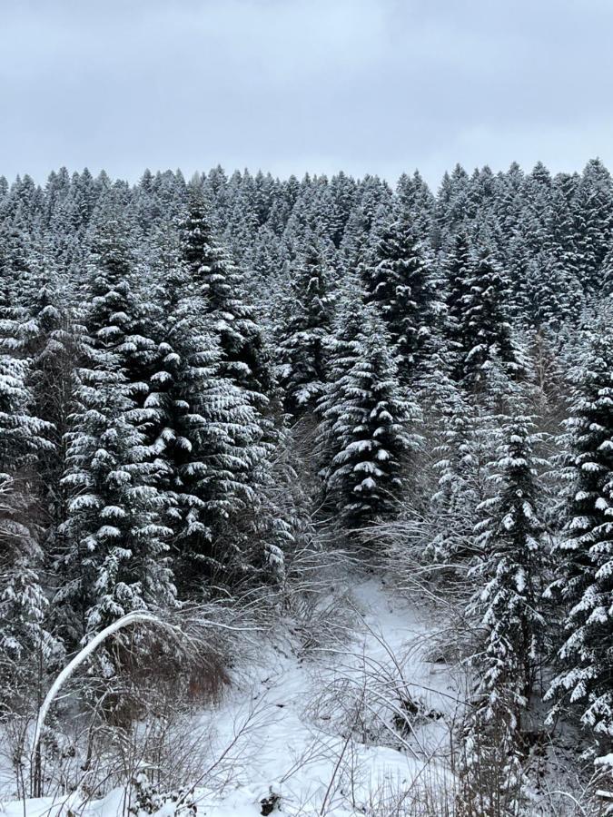 Belvedere-Karpaty-Panorama Skhidnytsia Extérieur photo